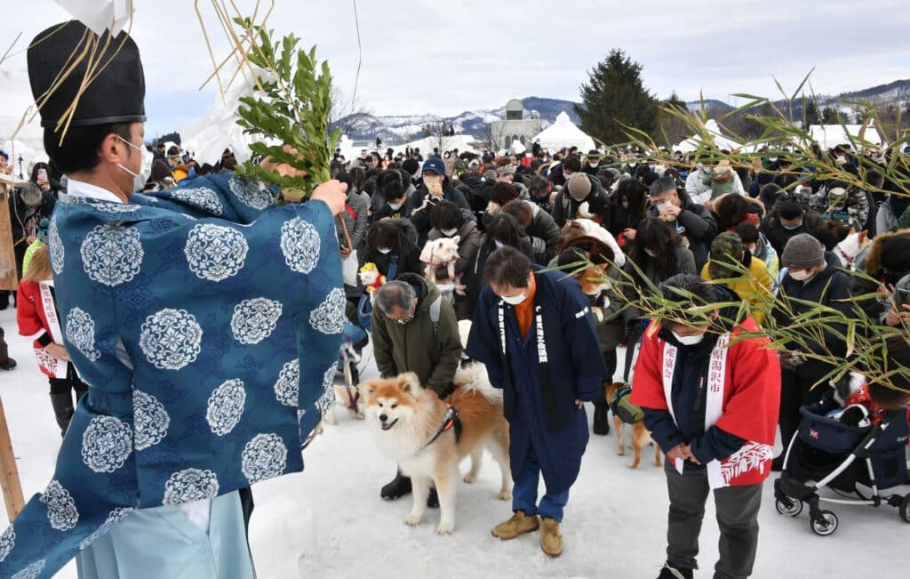 Festival Inukko: Perayaan Unik Anjing Akita di Jepang