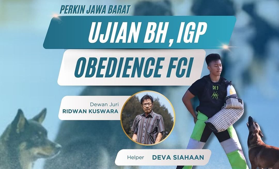 Kabar Gembira! Ujian BH, IGP, dan Obedience FCI Akan Diadakan di Bandung!
