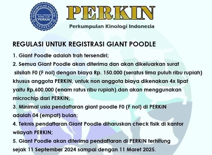 PERKIN Buka Registrasi Buat Stambum Giant Poodle